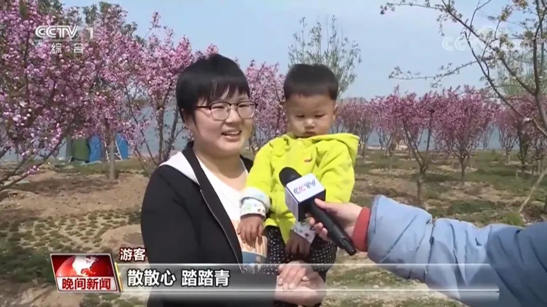 央视点赞北方最大梅园 | 伟德国际1946bv官网参建的生态文明建设典范项目邢台园博园获央视一套好评报道
