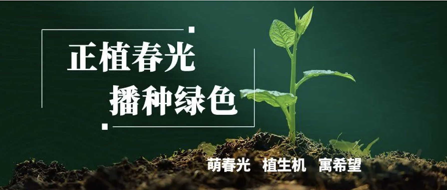 拥抱伟德国际1946bv官网，共植美好